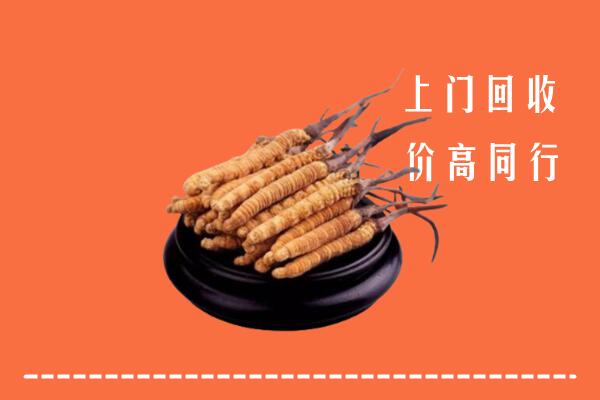 扎赉特旗回收散虫草